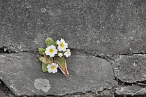 impermeabilisant murs extérieurs